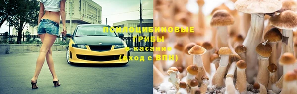 круглые Аркадак